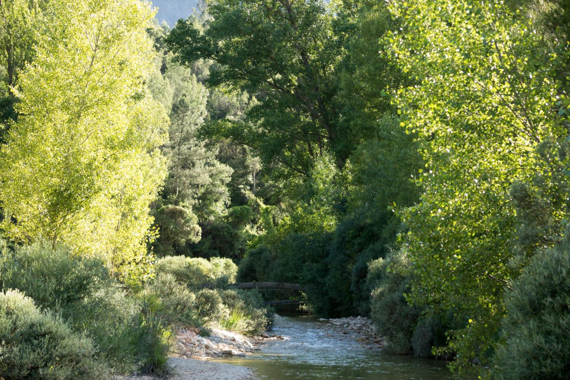 Casas Rurales Vado Del Rio Tus Cortijo Prados Exterior foto